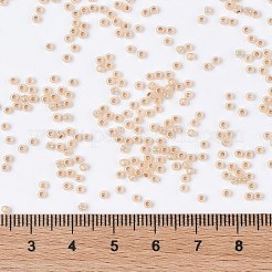 TOHO Round Seed Beads&nbsp;SEED-TR11-0751