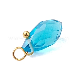 Transparent Glass Pendants&nbsp;PALLOY-JF02703