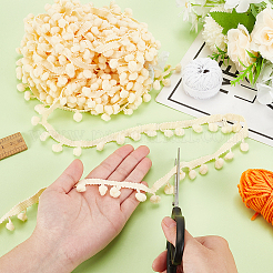 Nylon Pom Pom Ball Tassel Lace Ribbon&nbsp;DIY-WH0580-31C