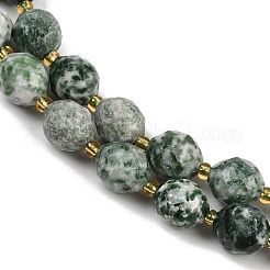 Natural Green Spot Jasper Beads Strands&nbsp;G-N342-149I-19