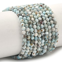 Natural Larimar Beads Strands&nbsp;G-F785-B01-01A