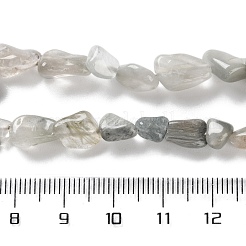 Natural Eagle Eye Stone Beads Strands&nbsp;G-P497-01C-14