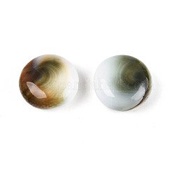 Natural Shiva Eye Shell Beads&nbsp;BSHE-T014-33B