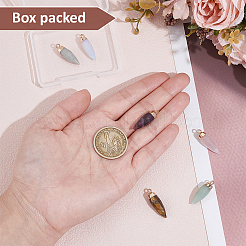 6Pcs 6 Styles Top Golden Plated Opalite & Natural Tiger Eye & Aventurine & Labradorite & Rose Quartz & Amethyst Pointed Pendants&nbsp;G-BC0001-63