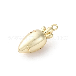 Brass Pendants&nbsp;LS-KK-D371-03A-G