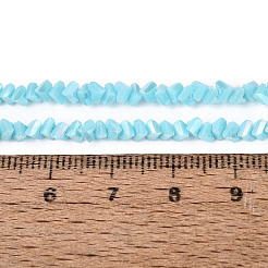 Electroplate Opaque Glass Beads Strands&nbsp;LS-EGLA-Q139-01A-C15