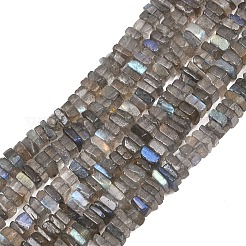 Natural Labradorite Beads Strands&nbsp;G-Z152-F04-02