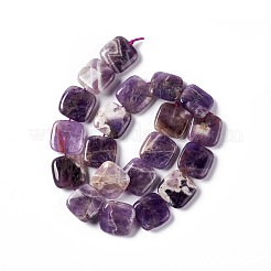 Natural Amethyst Beads Strands&nbsp;G-L253-11