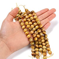 Natural Tiger Eye Beads Strands&nbsp;G-G099-10mm-9