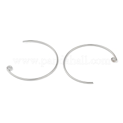 Brass Earring Hooks&nbsp;KK-C069-01P