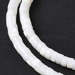 Natural Freshwater Shell Beads Strands&nbsp;X-SSHEL-C013-04B