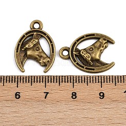 Tibetan Style Alloy Pendants&nbsp;TIBE-B003-19AB