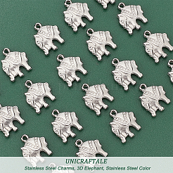 20Pcs 304 Stainless Steel Charms&nbsp;STAS-UN0035-08