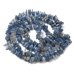 Natural Kyanite Chip Beads Strands&nbsp;G-G905-14