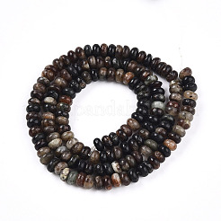 Natural Biotite Beads Strands&nbsp;G-T140-69B