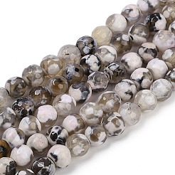 Natural Fire Crackle Agate Beads Strands&nbsp;G-C082-A01-43