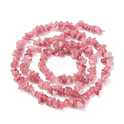 Chips Natural Red Tourmaline Beads Strands&nbsp;G-N0164-29