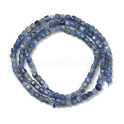 Natural Kyanite Beads Strands&nbsp;G-B088-E24-03A