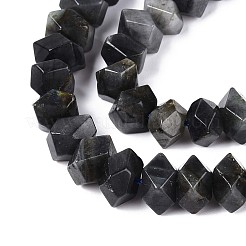 Natural Larvikite Beads Strands&nbsp;G-D091-A29