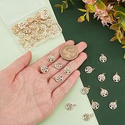 50Pcs Alloy Charms&nbsp;FIND-PH0010-52