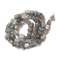 Natural Labradorite Beads Strands&nbsp;G-G018-24