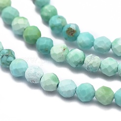 Natural HuBei Turquoise Beads Strands&nbsp;G-G792-38