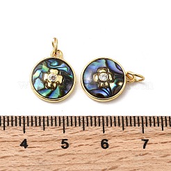 Brass Micro Pave Cubic Zirconia Charms&nbsp;KK-K384-12G