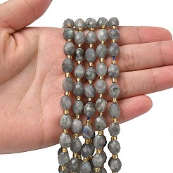Natural Labradorite Beads Strands&nbsp;G-F809-A47-01