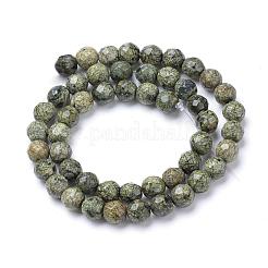 Natural Serpentine/Green Lace Stone Bead Strands&nbsp;G-R411-11-6mm