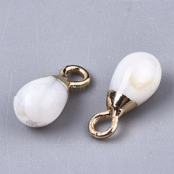Natural Freshwater Shell Charms&nbsp;SHEL-N026-45