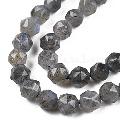 Natural Labradorite Beads Strands&nbsp;G-N327-03A-06