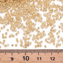 Glass Cylinder Beads&nbsp;SEED-S047-R-003