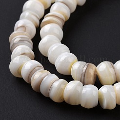 Natural Cultured Freshwater Shell Beads Strands&nbsp;SHEL-F002-01D