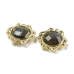 Natural Labradorite Faceted Connector Charms&nbsp;G-M431-09G-02