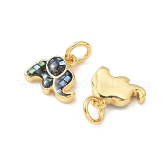 Rack Plating Brass & Shell Pendants&nbsp;KK-I357-07G