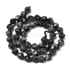 Natural Larvikite Beads Strands&nbsp;G-Z119-A32-02