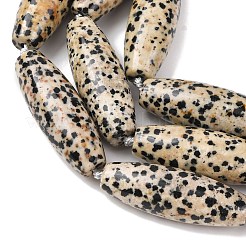 Natural Dalmatian Jasper Beads Strands&nbsp;G-L654-G04-01
