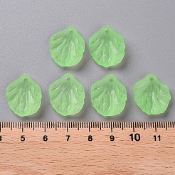 Transparent Frosted Acrylic Pendants&nbsp;MACR-S371-01A-733