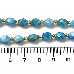 Natural Apatite Beads Strands&nbsp;G-H297-C03-01