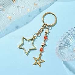 Alloy Pendant Keychian&nbsp;KEYC-JKC00799-01