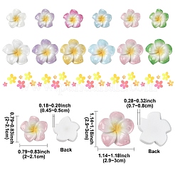 60Pcs 2 Styles Plumeria Flower Opaque Resin Cabochons&nbsp;CRES-YW0002-60