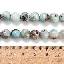 Natural Larimar Beads Strands&nbsp;G-L642-B19-8mm
