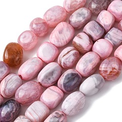 Natural Dragon Veins Agate Beads Strands&nbsp;G-C258-04A