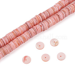 1 Strand Natural Freshwater Shell Beads Strands&nbsp;SHEL-TA0001-35B