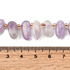 Natural Amethyst Beads Strands&nbsp;G-Z091-A02