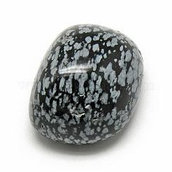 Natural Snowflake Obsidian Gemstone Beads&nbsp;G-S218-09