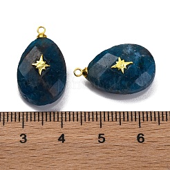 Natural Apatite Pendants&nbsp;G-B089-01G-03