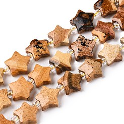Natural Picture Jasper Beads Strands&nbsp;G-T138-189