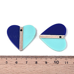 Opaque Resin & Wood Pendants&nbsp;RESI-T057-70A