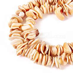 1 Strand Natural Seashell Shell Beads Strands&nbsp;SSHEL-TA0001-13
